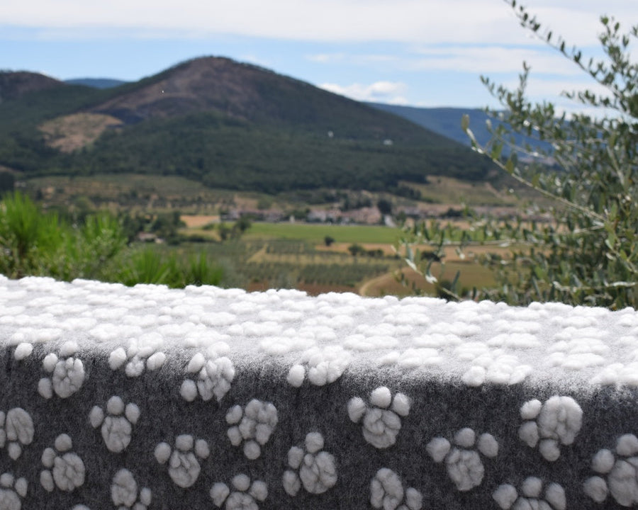 Zampa Blanket